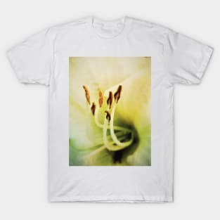 Lily Heart T-Shirt